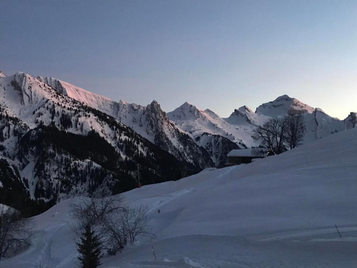 L'Oree Des Aravis - Au Pied Des Pistes Manigod Luaran gambar